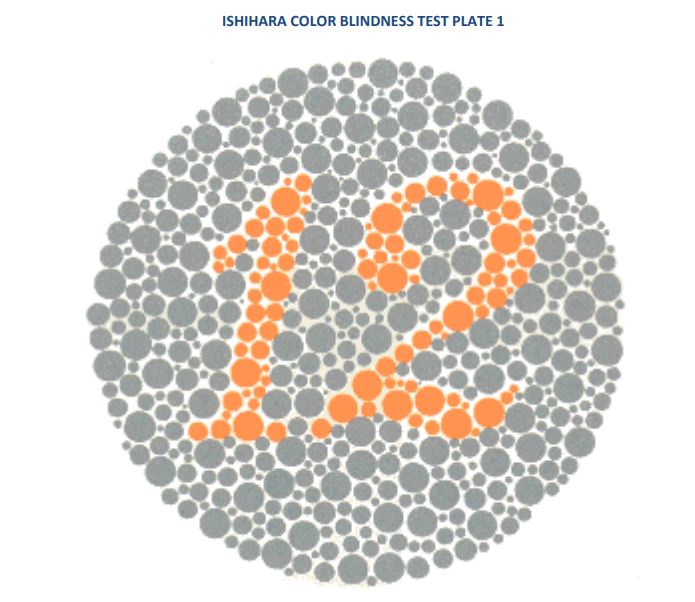 Ishihara renk körlüğü testi levhası 1